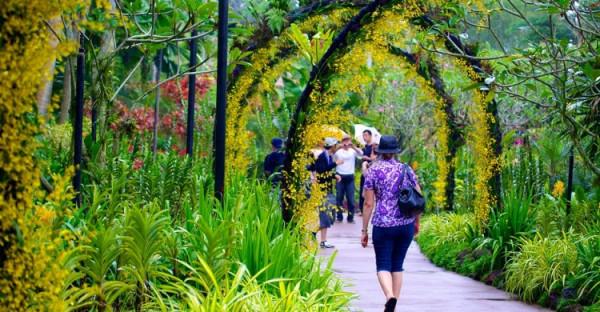 Vườn thực vật Singapore (Botanic Garden)