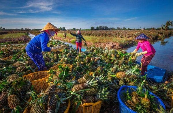 Du lịch Hậu Giang năm 2022 có gì hot?