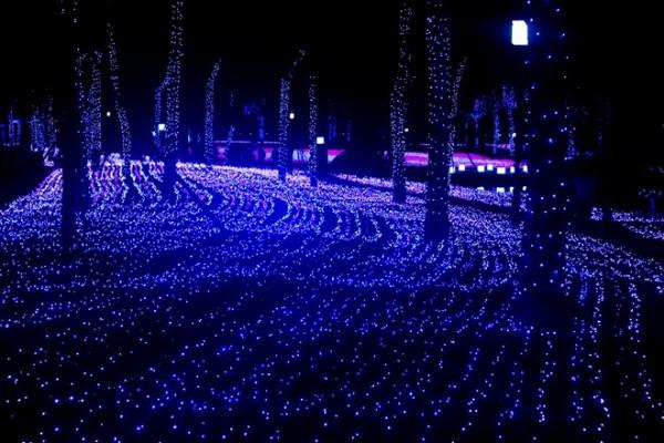 Nửa triệu bóng đèn lung linh ở công viên