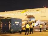 4 hãng hàng không mới khai thác đường bay Tân Sơn Nhất