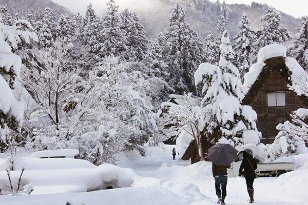 Vì sao bạn nên đi du lịch Nhật Bản vào mùa đông?
