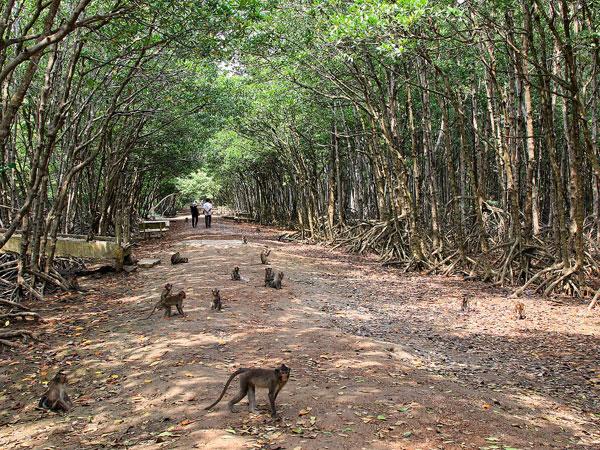 Vẻ hoang sơ của đảo khỉ Nha Trang