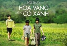 Đặt vé máy bay đi Tuy Hòa ngắm hoa vàng trên cỏ xanh