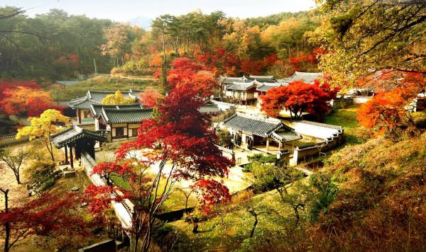 mùa thu mang tên Hàn Quốc8