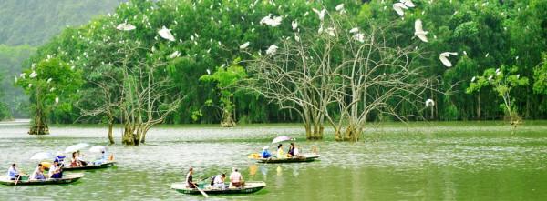 Vườn Chim Thung Nham 1