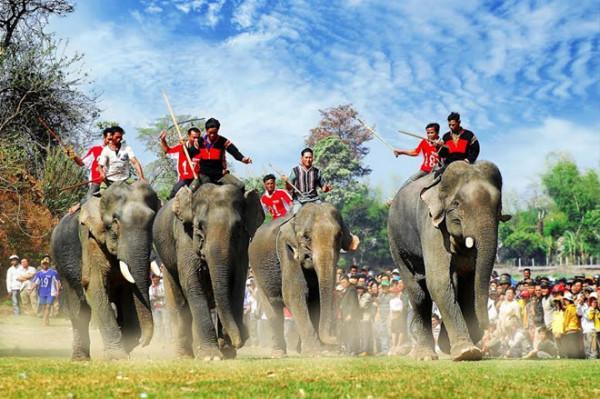 Lễ hội đua voi ở Bản Đôn