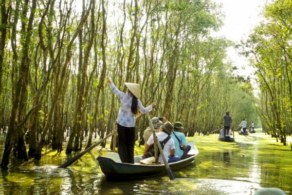 Khu rừng tràm Vị Thủy.2