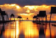 Vé máy bay từ Thành Phố Hồ Chí Minh đến Thái Bình