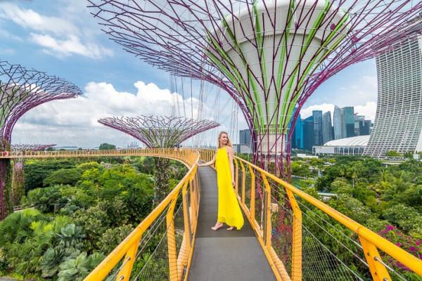 Garden by the bay