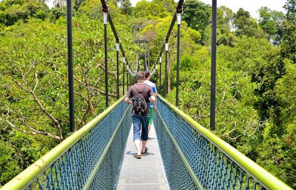 Đường mòn tự nhiên MacRitchie