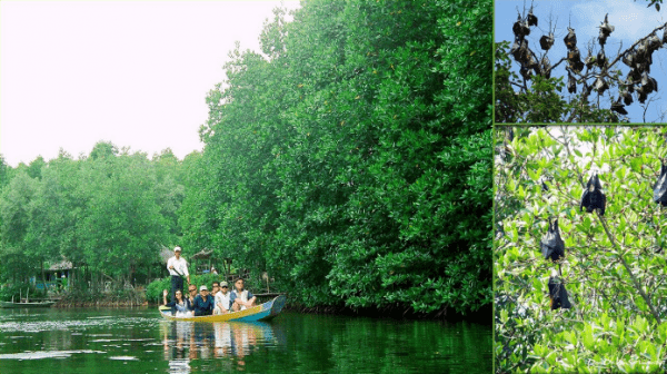 Đầm Dơi là địa điểm không thể bỏ qua khi đến Cần Giờ