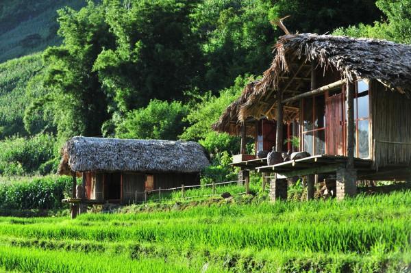 Eco Palms House.