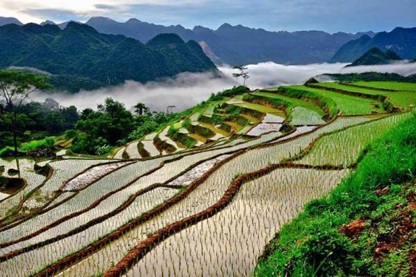 Khu bào tồn thiên nhiên Pù Luông