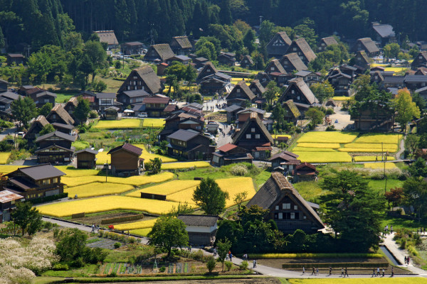 làng cổ Shirakawago, Nhật Bản.1