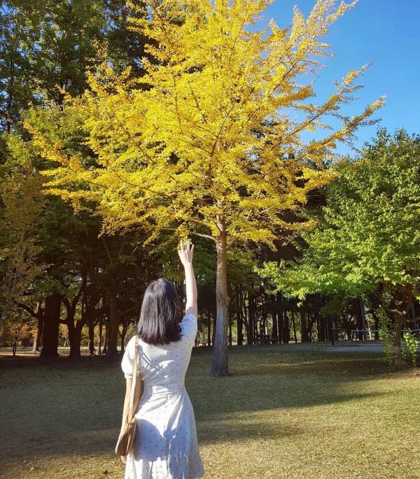 thiên đường mùa thu mang tên Hàn Quốc4