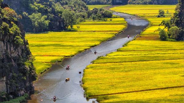 Sông Ngô Đồng 2