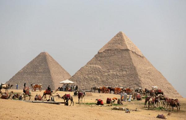 FILE PHOTO: A group of camels and horses stand idle in front of the Great Pyramids awaiting tourists in Giza