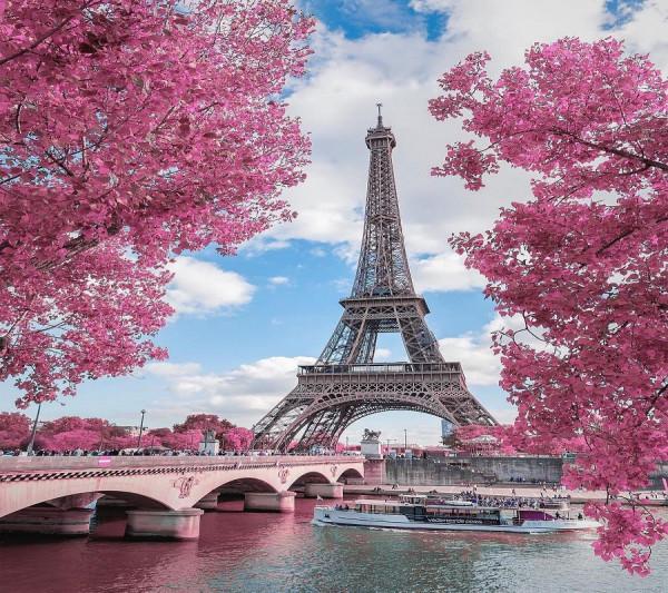 Trải nghiệm vẻ đẹp lộng lẫy của nước Pháp lãng mạn