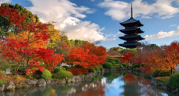 Vi vu Nhật Bản trọn vẹn với những điểm đến tuyệt đẹp