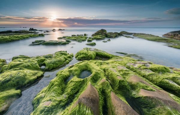 Biển và bãi đá Cổ Thạch1