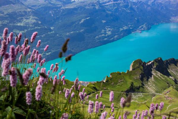 hồ Brienz, Thụy Sĩ3