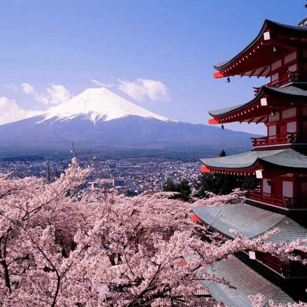 mùa hoa anh đào Sakura1