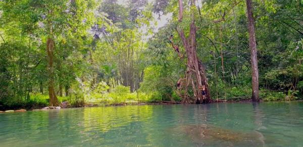 Vé máy bay giá rẻ tìm hiểu về vùng đất Phú Thọ