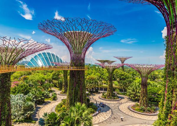 Gardens by the Bay