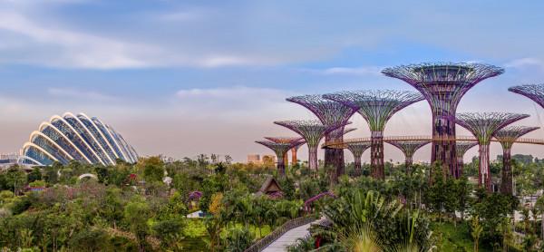 Gardens by the Bay1