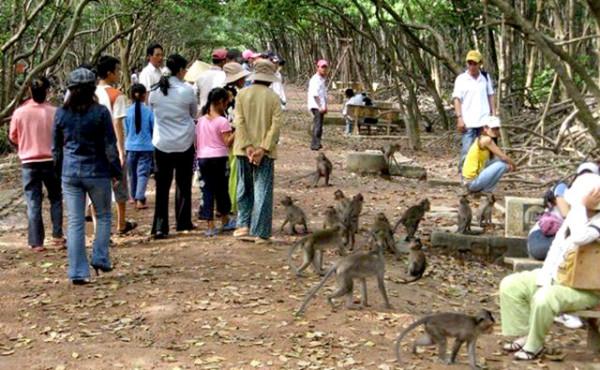 Tham quan đảo Khỉ 2