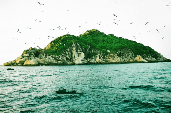 Đảo Yến1