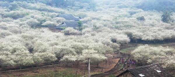 Vé máy bay đến Hà Nội chinh phục cao nguyên Tây Bắc