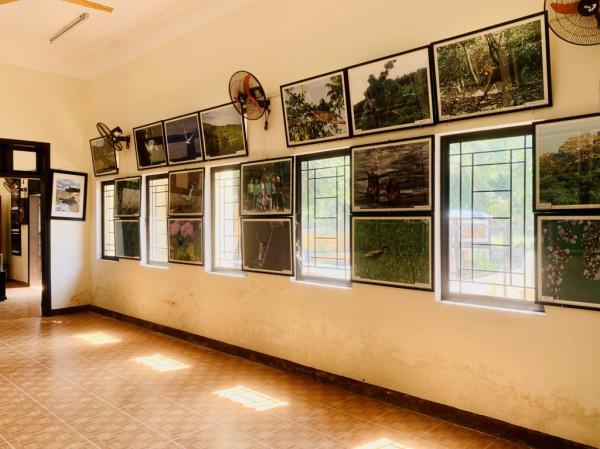 Bảo tàng Cù Lao Chàm