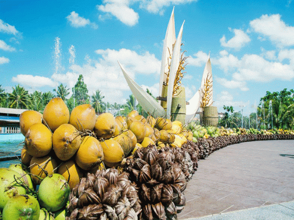 Dừa Bến Tre - Món quà giản đơn thiên nhiên ban tặng