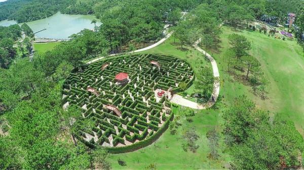 thung-lung-tinh-yeu-da-lat-2