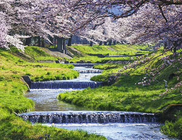 5 điểm du lịch nổi tiếng tại Fukushima vào mùa xuân