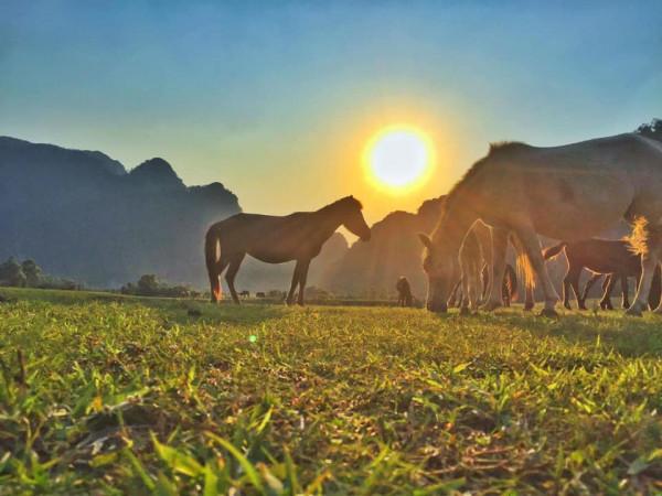 Vé máy bay giá rẻ cùng bạn du lịch Thảo nguyên Đồng Lâm