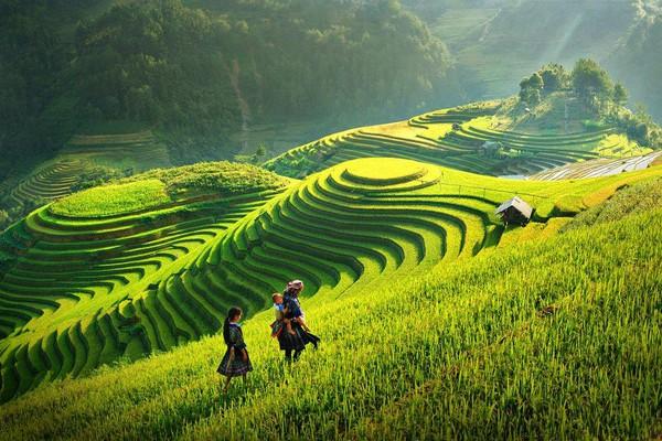 Du lịch xã Nậm Ty Hà Giang - Ngắm ruộng bậc thang, tận hưởng miền đất an nhiên hạnh phúc