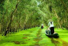 Săn vé máy bay khám phá  du lịch An Giang cực đẹp