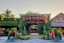 Khám phá du lịch sinh thái Bến Tre cùng Săn vé máy bay