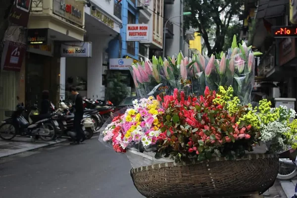 Những gánh hoa rong, chở cả mùa thu Hà Nội