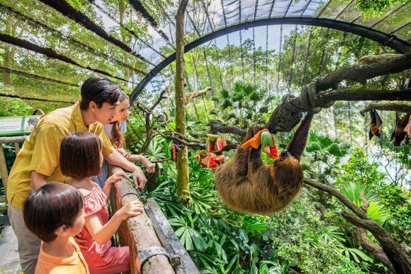 Vườn thú Singapore Zoo xứng đáng là điểm đến hàng đầu tại đảo quốc sư tử.