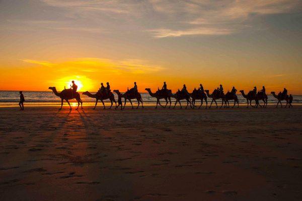 Cưỡi lạc đà ngắm hoàng hôn tại Broome