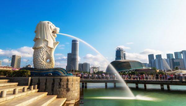 Từ công viên Merlion bạn có thể ngắm nhìn nhiều công trình kiến trúc đặc sắc