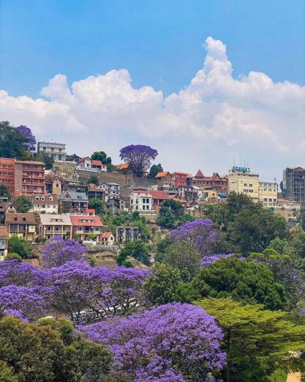 Từ sân bay Ivato, có rất nhiều phương tiện để về trung tâm thủ đô Antananarivo