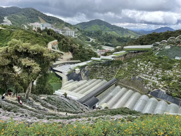 Chiếc view "siêu ảo" bao trọn khu Kea Farm