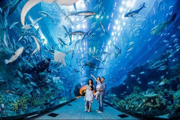 S.E.A Aquarium là thủy cung rộng lớn có quy mô hoành tráng hàng đầu Châu Á