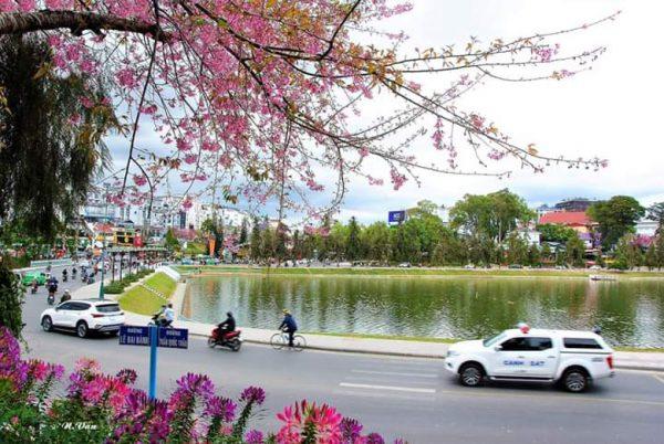 Khám phá các địa điểm du lịch Tết gần Sài Gòn không nên bỏ lỡ