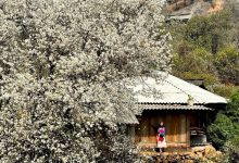 Khám phá vẻ đẹp hoang sơ của núi rừng Tây Bắc