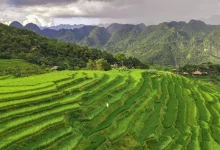 Săn vé máy bay khám phá ruộng bậc thang đẹp nhất Việt Nam